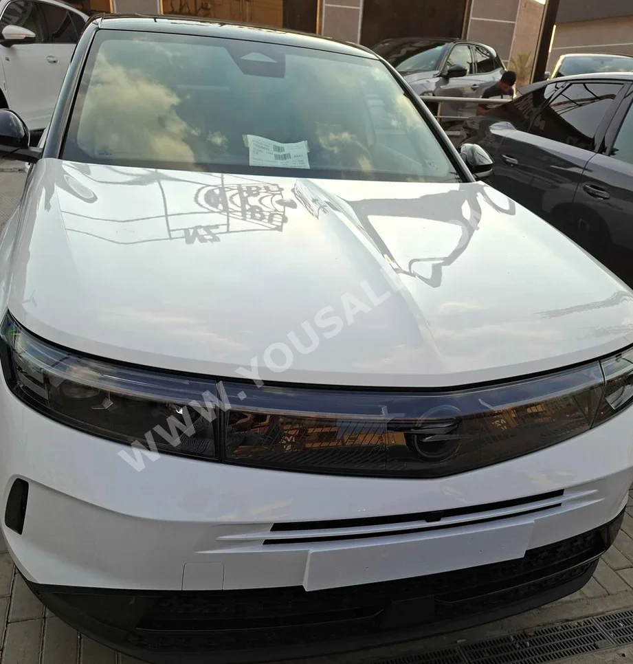 Opel  GrandLand  2025  SUV  Automatic  4 Cylinder  0 Km  FWD  White  Gasoline