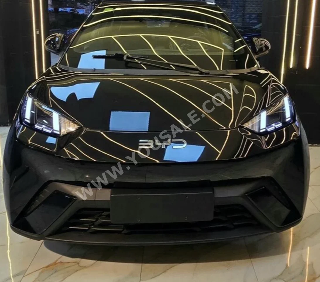 BYD  Seagull  2025  Hatchback  Automatic  0 Cylinder  0 Km  FWD  Black  Gasoline