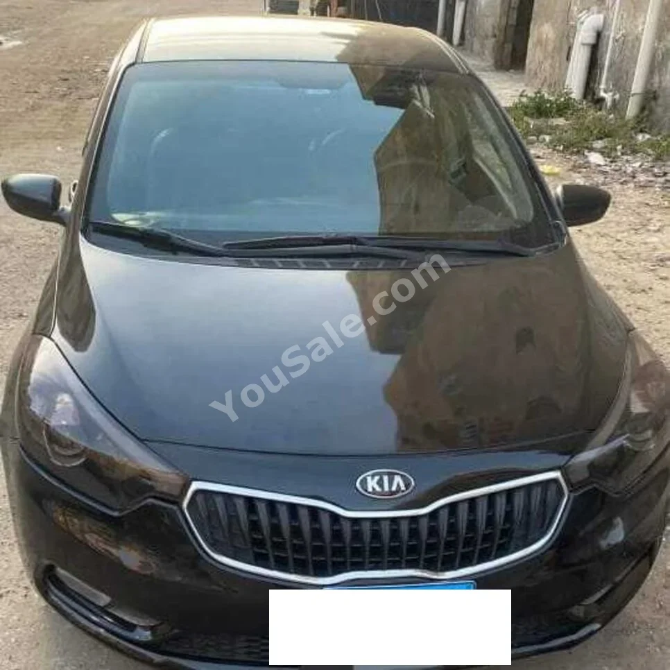 كيا  سيراتو  2015  سيدان  اوتوماتيك  6 سلندر  150,000 كم  دفع أمامي  أسود  بنزين