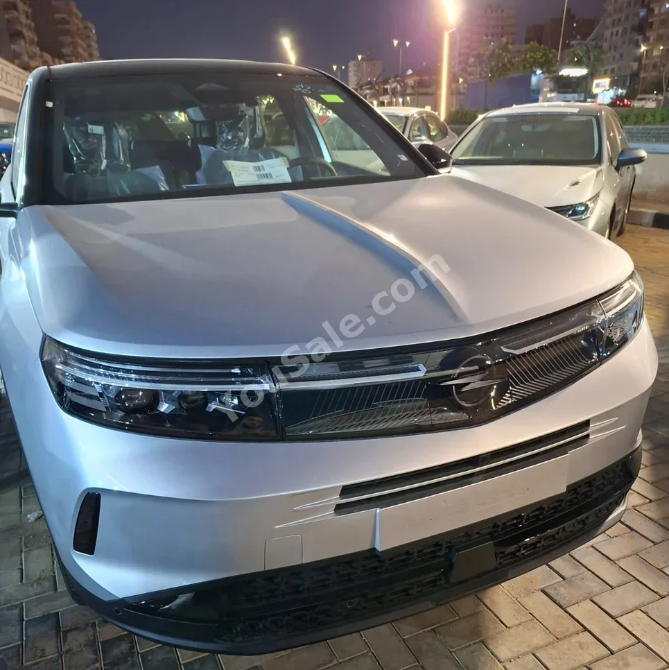 Opel  GrandLand  2025  SUV  Automatic  4 Cylinder  0 Km  FWD  Silver  Gasoline