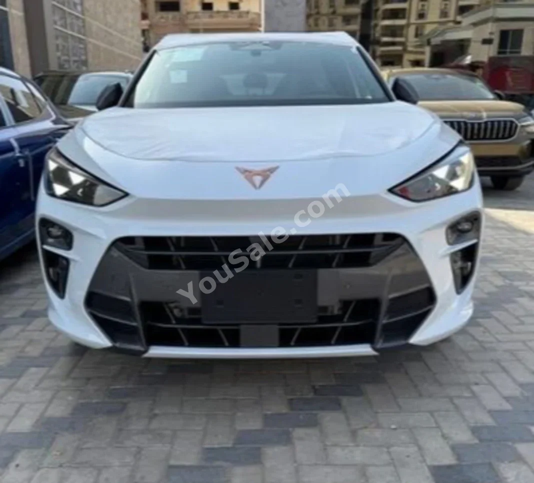 Cupra Terramar 2025 SUV Automatic 4 Cylinder 0 Km FWD White Gasoline