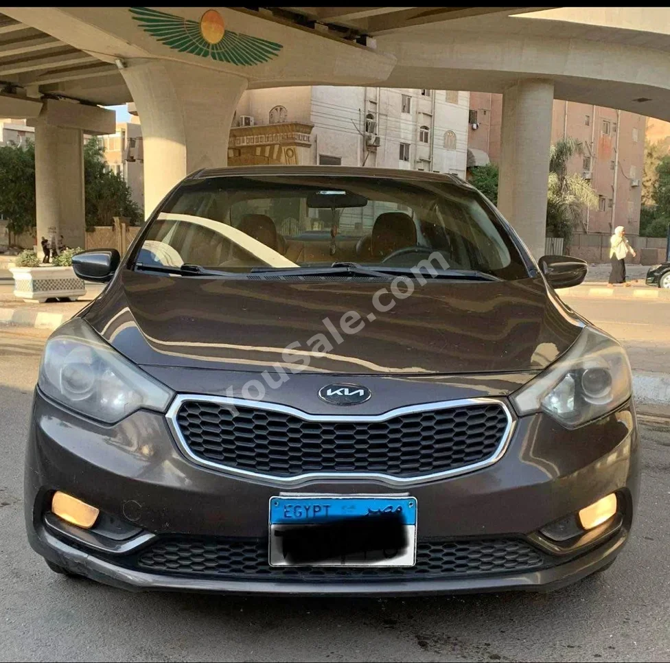 Kia  Cerato  2015  Sedan  Automatic  4 Cylinder  216,000 Km  FWD  Brown  Gasoline
