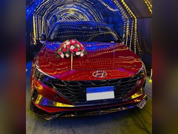 Hyundai  Elantra  Sedan  Dark Red  2024