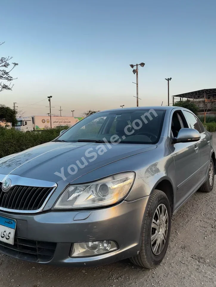 سكودا  أوكتافيا  2013  سيدان  اوتوماتيك  4 سلندر  170,000 كم  دفع أمامي  رمادي  بنزين