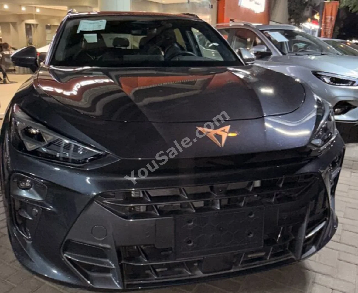 Cupra  Terramar  2026  SUV  Automatic  4 Cylinder  0 Km  FWD  Black  Gasoline