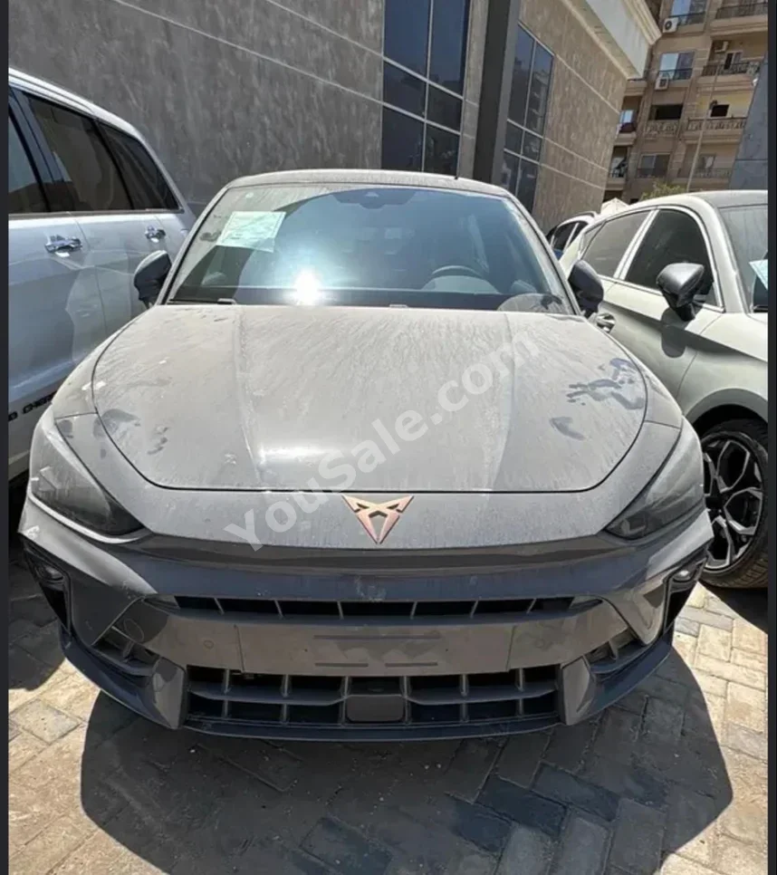 كوبرا  ليون  2026  هاتشباك  اوتوماتيك  4 سلندر  0 كم  دفع أمامي  رمادي  بنزين