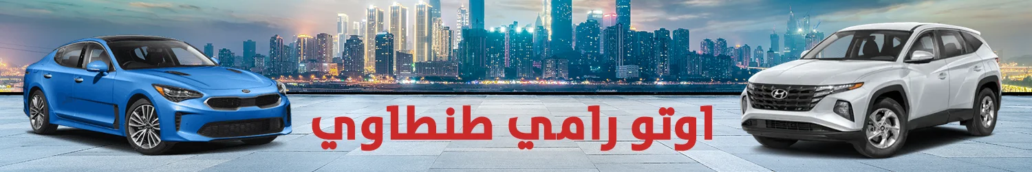 AUTO RAMY TANTAWY