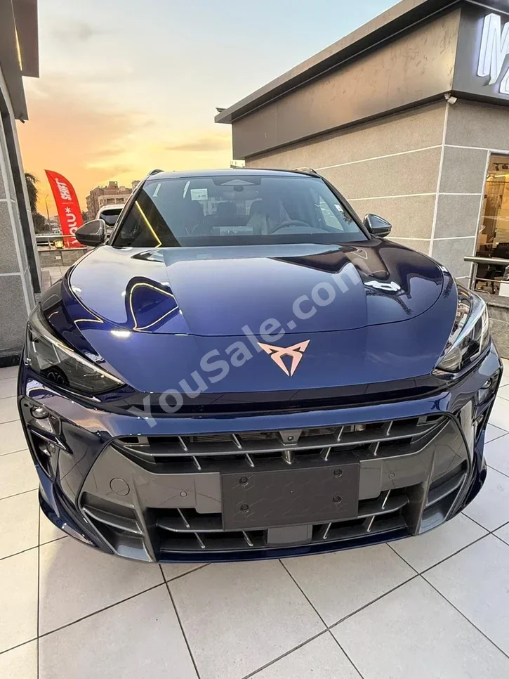 Cupra Terramar 2026 SUV Automatic 4 Cylinder 0 Km FWD Blue Gasoline