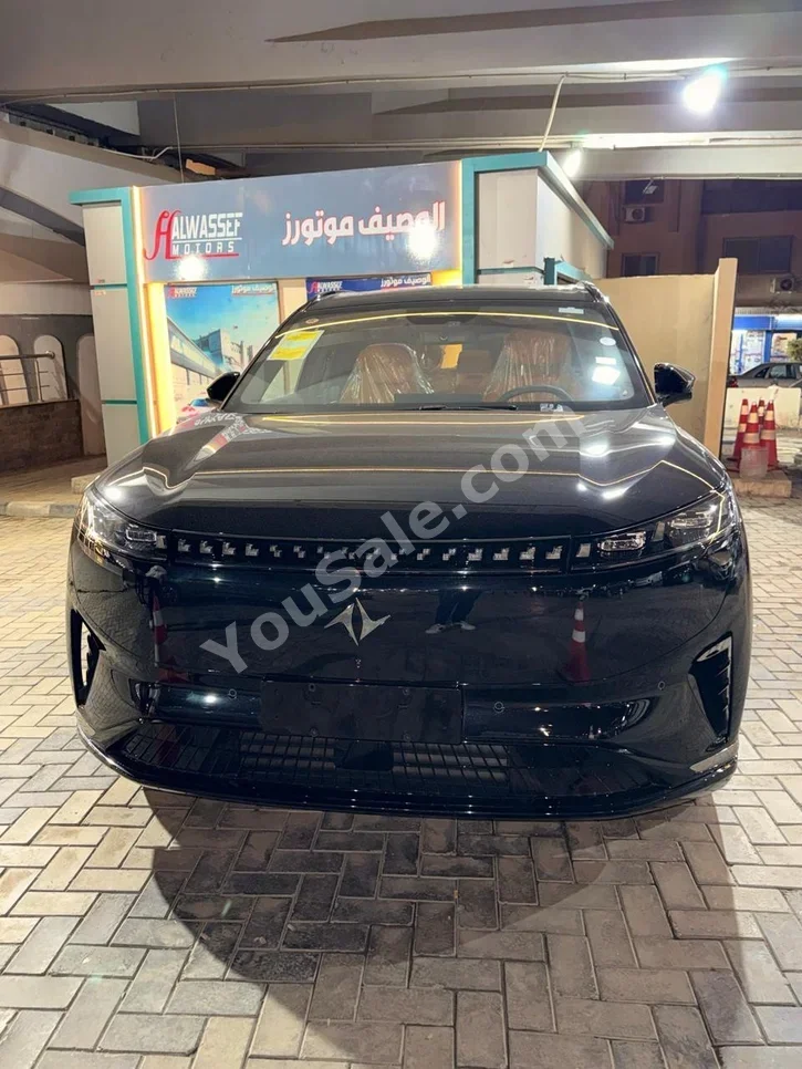 Dengfeng Mage 2025 SUV Automatic 0 Cylinder 0 Km FWD Black Electric