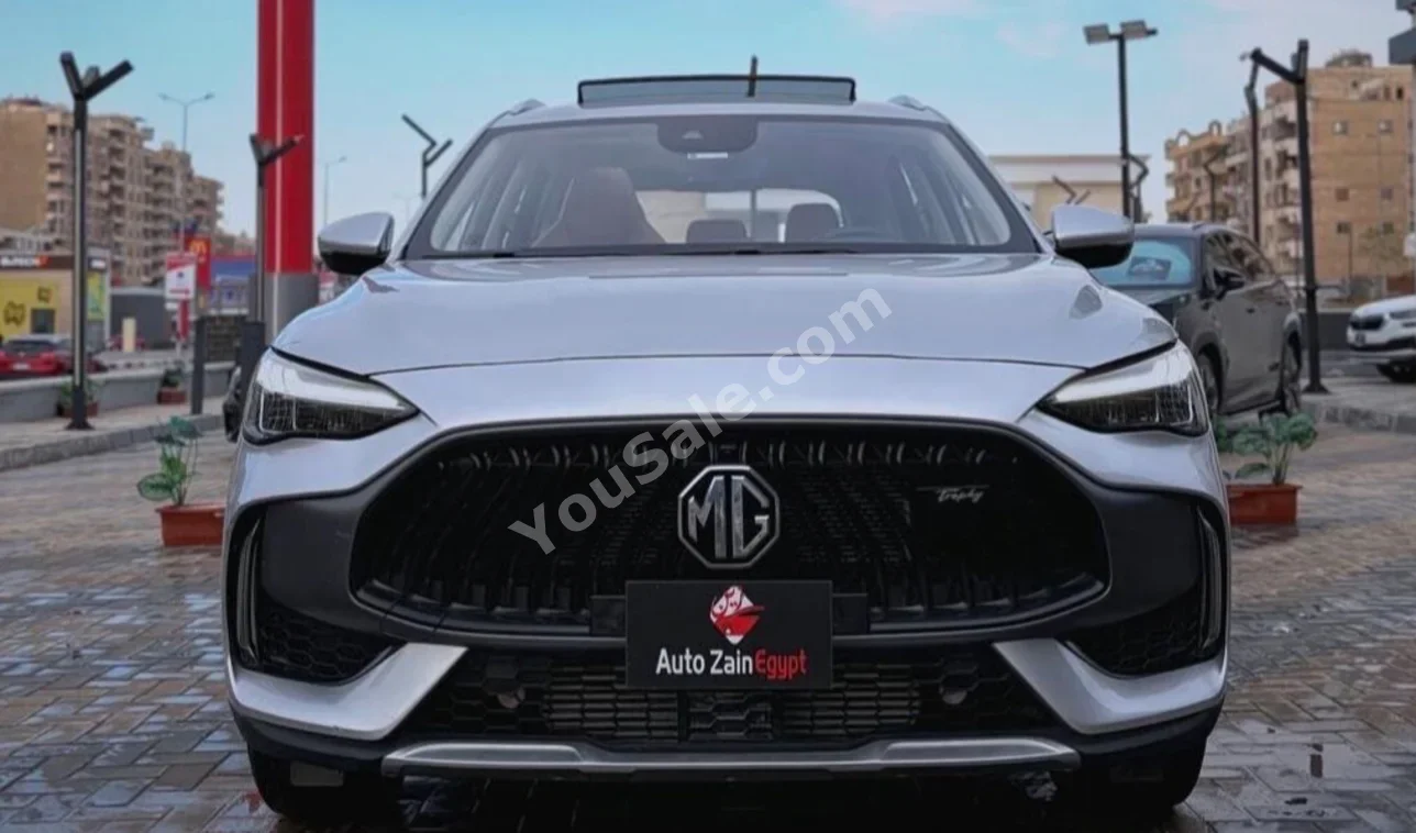 MG Hs 2020 SUV Automatic 30,000 Km FWD Silver Gasoline