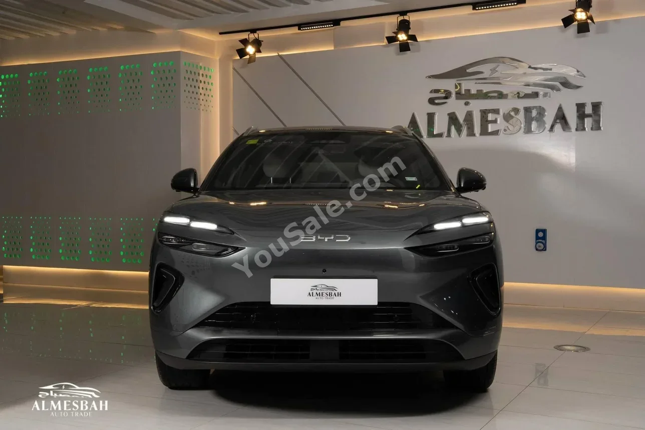 بي واي دي  سيليون  06  2025  اس يو في  اوتوماتيك  0 سلندر  0 كم  فضي  كهربائية
