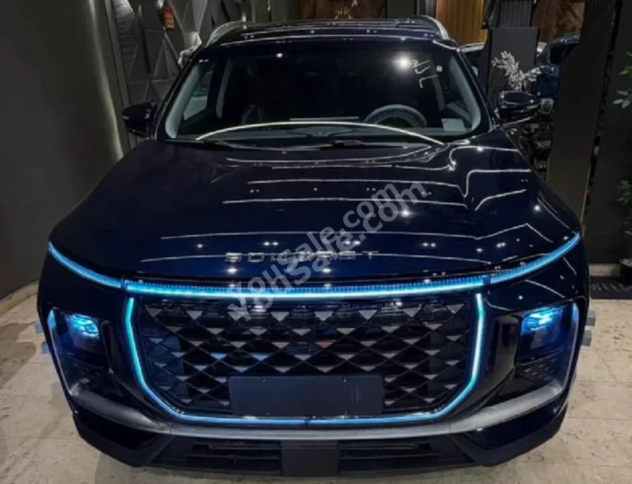 Soueast  S09  2026  Automatic  0 Km  Dark Blue  Gasoline
