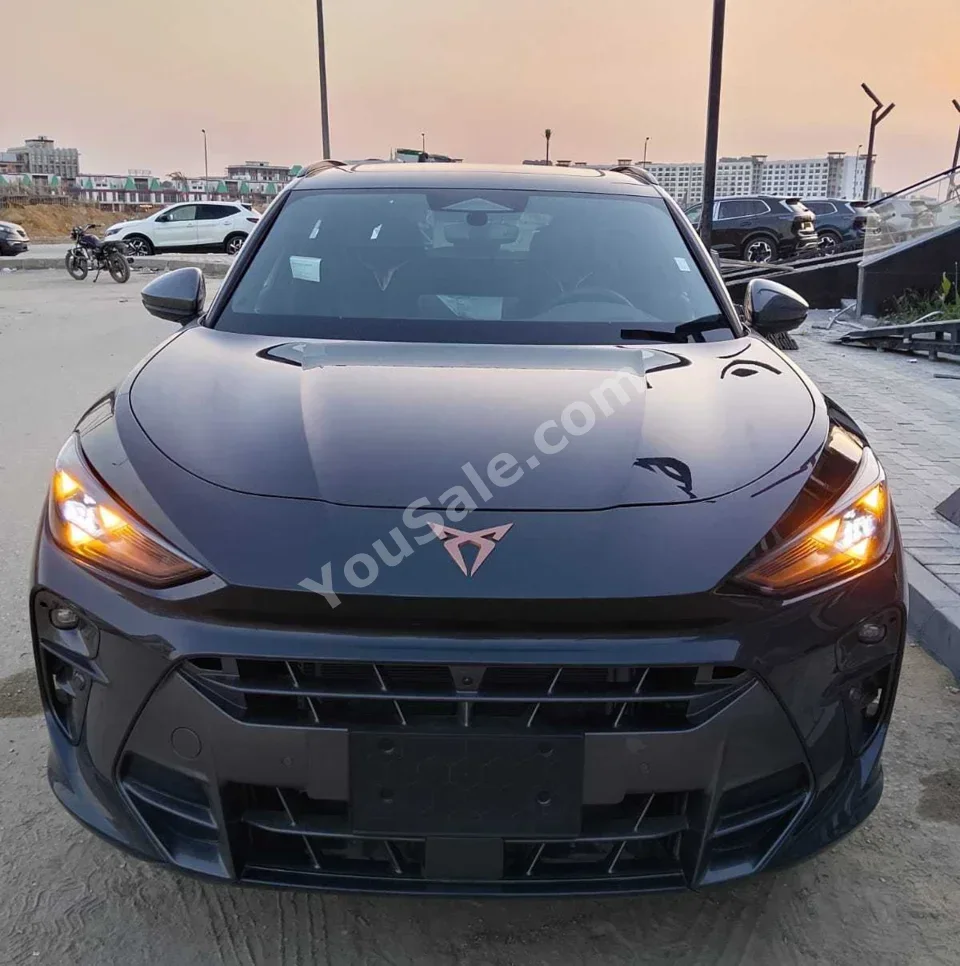 Cupra  Terramar  2026  Hatchback  Automatic  0 Km  FWD  Dark Gray  Gasoline