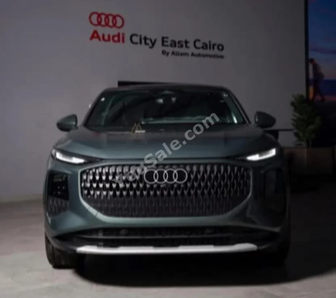 Audi  Q3  2026  Automatic  0 Km  Olive Green  Gasoline