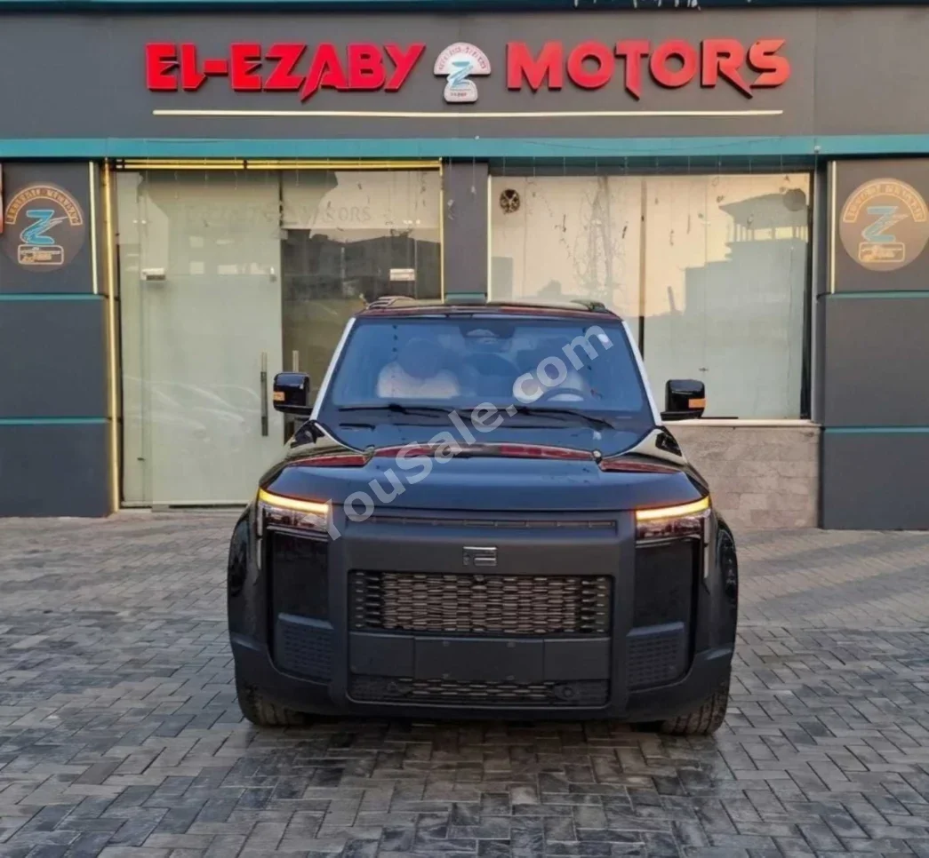 Rox  01  2026  Automatic  0 Km  AWD  Black  Hybrid