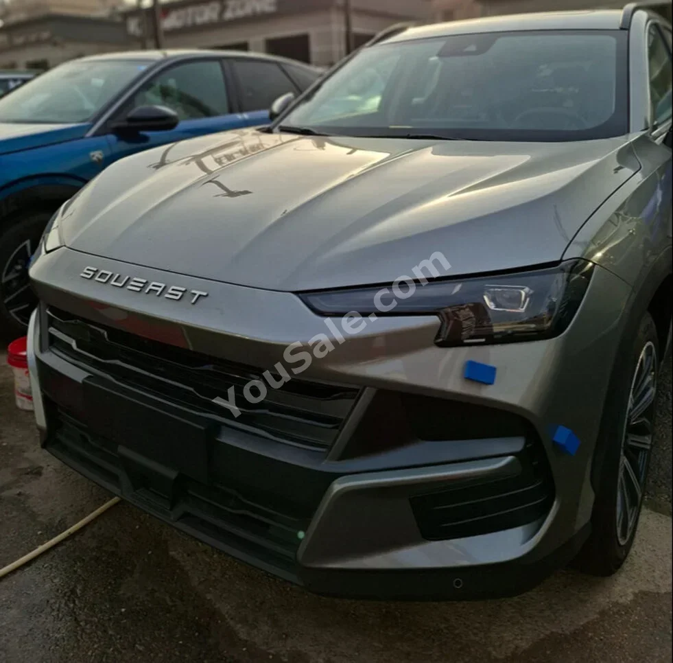 سويست  اس 06  2027  اوتوماتيك  0 كم  رصاصي  بنزين