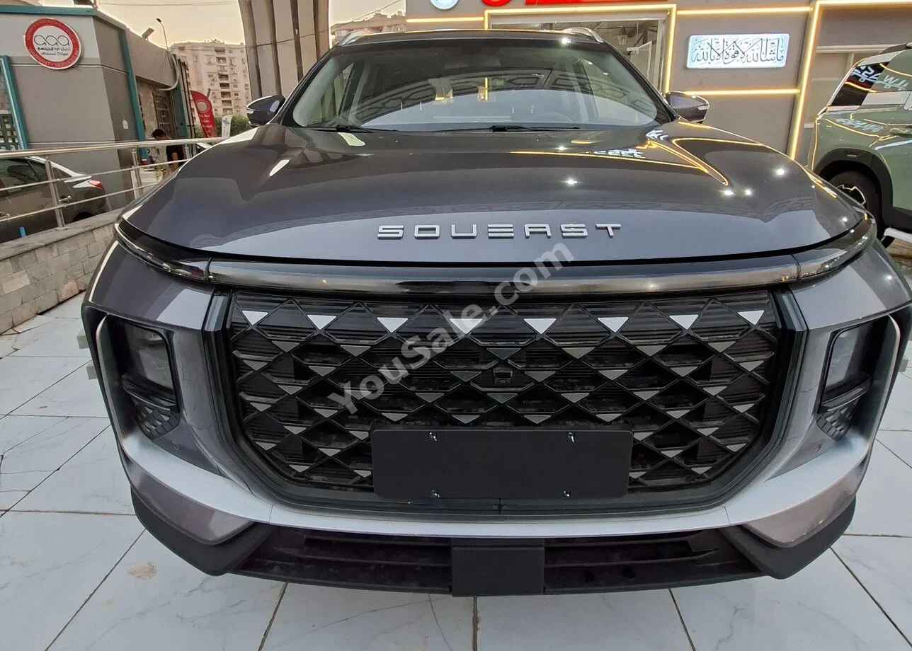 سويست  اس 09  2026  اوتوماتيك  اودي سلندر  0 كم  اودي  رمادي  بنزين