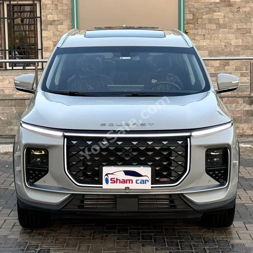سويست اس 09 2026 اوتوماتيك 3,000 كم رمادي بنزين