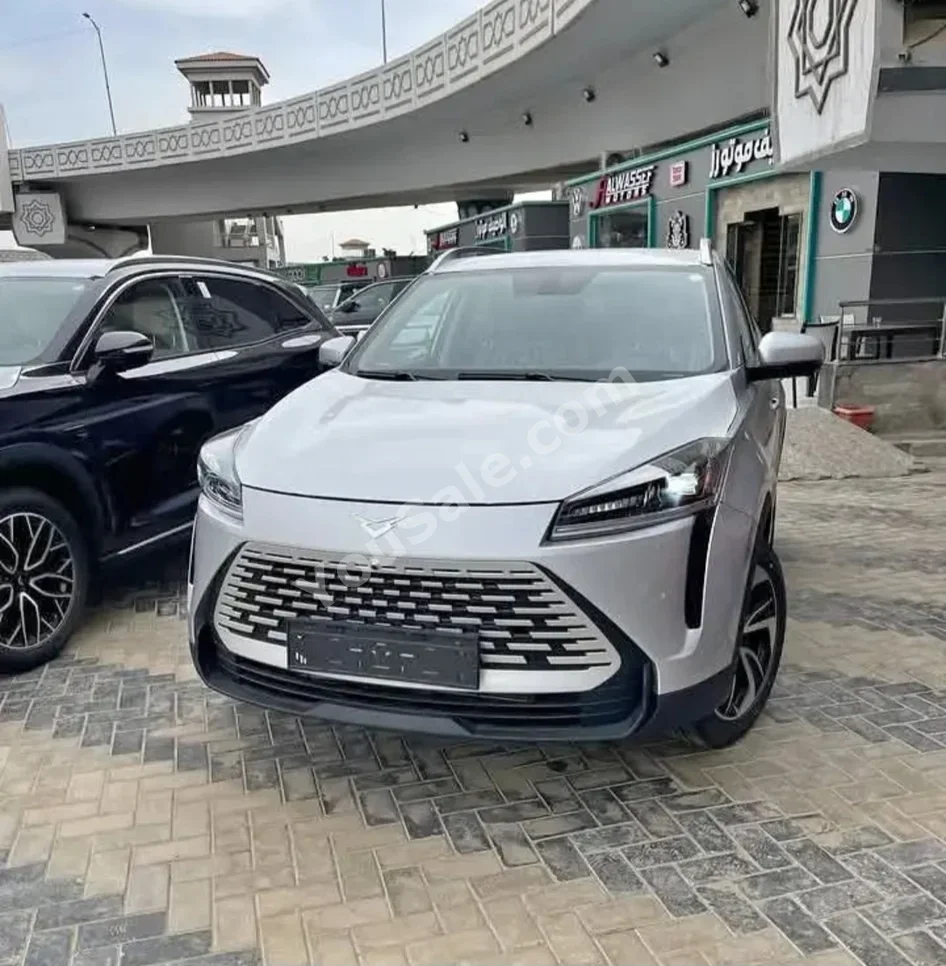 كايي اكس 3 برو 2026 اوتوماتيك 0 كم فضي بنزين