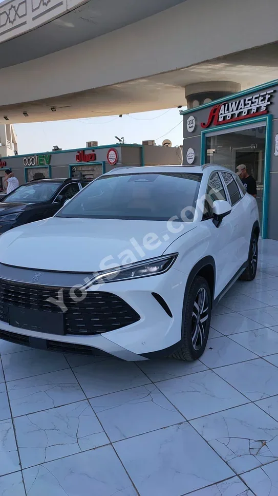بي واي دي سونغ ال 2025 اوتوماتيك 0 كم أبيض كهربائية