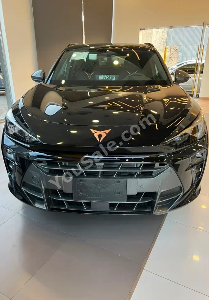 Cupra  Terramar  2026  SUV  Automatic  4 Cylinder  0 Km  FWD  Black  Gasoline
