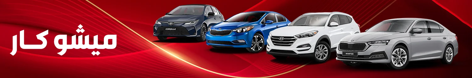 Mesho Motors
